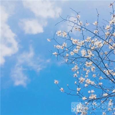 无限三国内购破解版下载